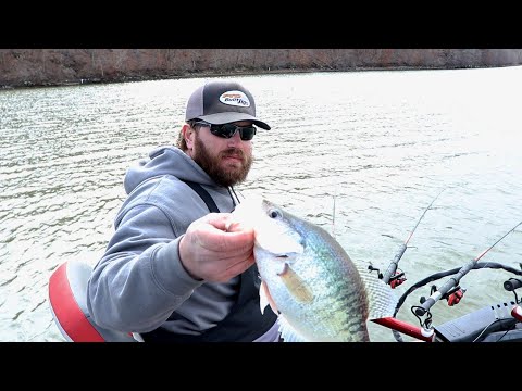 What do Crappie eat  in Cold, Dirty Water (COLOR CHALLENGE) | Crappie Fishing Lake of the Ozarks