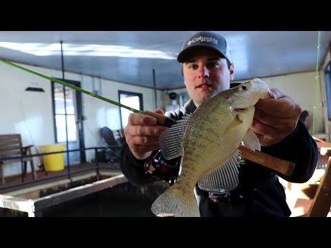 Crappie fishing a heated dock