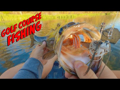 Epic Golf Course Pond Fishing! Big Bass From The Kayak!