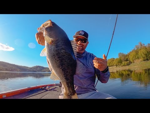 Raw Fishing Footage! Spring Bass Fishing LIVE On Lake Berryessa!