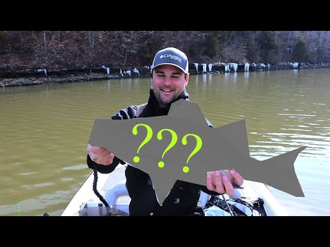 (SURPRISE CATCH) While Crappie Fishing Lake of the Ozarks