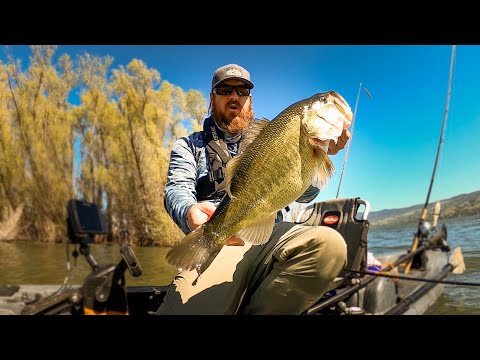 Senko and Underspin Tips For Big Bass! Kayak Bass Fishing on Clearlake