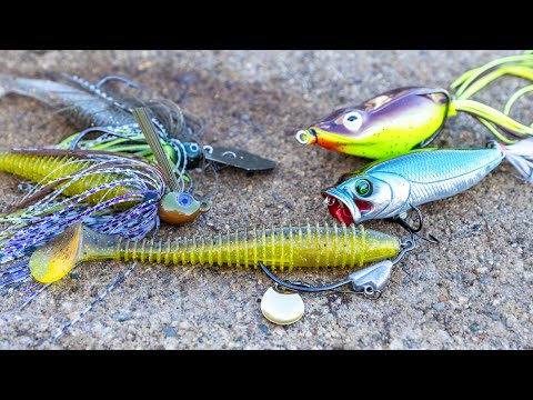 Pond Fishing For Bass – Best Baits and Techniques