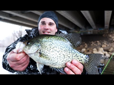 Early spring Pre-Spawn Wisconsin Crappie Fishing (Surprise Catch)