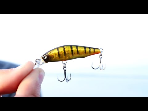 Micro Lure Fishing for Crappie in Shallow Water (Jerkbaits for Panfish)