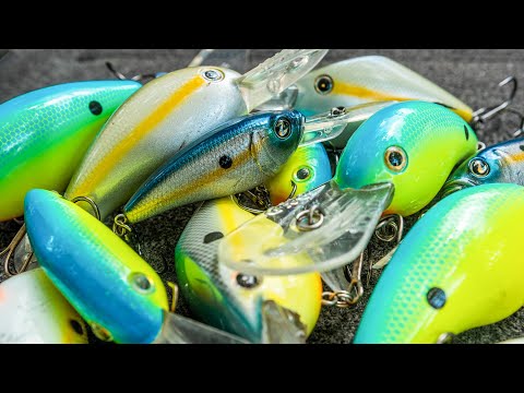 Summer Crankbait Fishing: Best Baits, Modifications, and Colors (GIANT Fish Hooked!!)