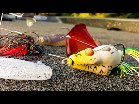 Buzzbaits and Frogs! Summer Bass Fishing On Clearlake!