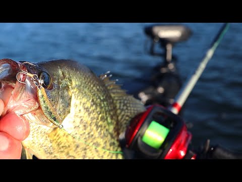 Jigging Spoons for Crappie in the Summer (Fishing a brush pile)