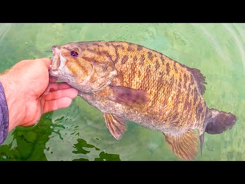 Sight Casting For GIANT Smallmouth Bass In The Clearest Water You've Ever Seen!