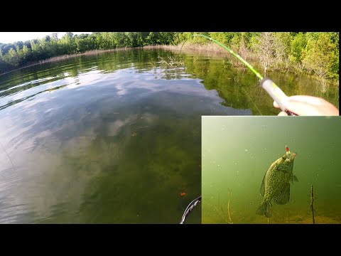 Sight fishing for Crappie in Super CLEAR Lake (Underwater Footage)