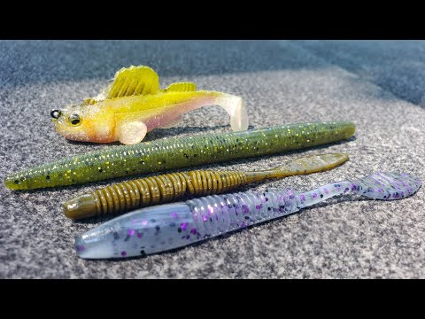 How To Catch BIG Bass On Ultralight Tackle! Senko And Dropshot!
