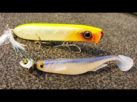 Topwater, Flukes, and Underspins For Aggressive Fall Bass!
