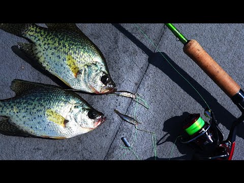 Double Minnow Rig for Fall Crappie (30 day challenge ep.8)