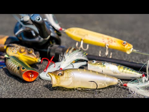 4 Topwater Tricks For Early Fall Bass Fishing!