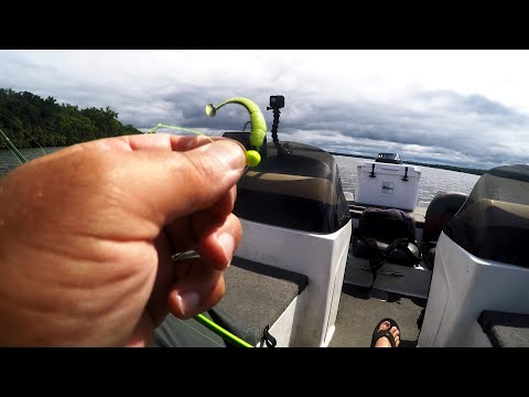 Crappie CAN"T Resist this style of Bait (30 day challenge ep. 9)