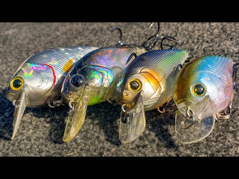 Squarebill Crankbait Tricks You Haven't Tried (But Your Friends Have!)