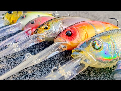 Catch Fish Every Time! How To Speed Crank For Bass Right Now!