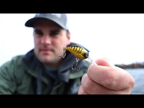 Trolling Micro Crankbaits for Crappie in the Fall (ep.12 of 30 Day Challenge)