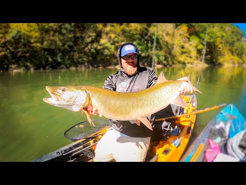 TWO BIG MUSKY from the Kayak! Southern Musky Fishing!