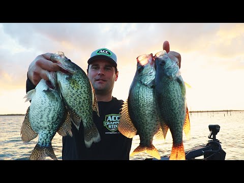BEST Location to catch Crappie on a NEW Lake |Bridge Fishing (Lake Fork Tour ep.1)