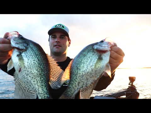 Crappie Fishing with a double jig rig (Lake Fork ep.2