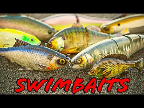 Buyer's Guide: Swimbaits and Glide Baits!
