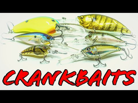 Buyer's Guide: Deep Diving Crankbaits For Winter And Summer Bass Fishing