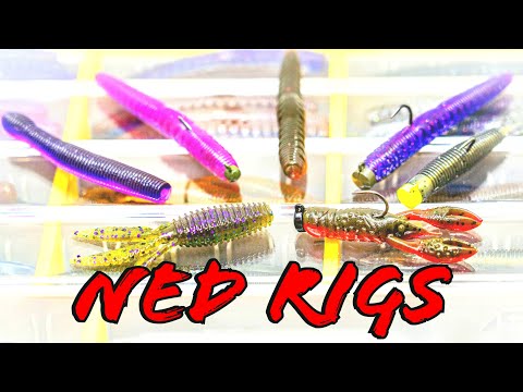 Buyer's Guide: Ned Rig Baits And Tips For Year Round Success!