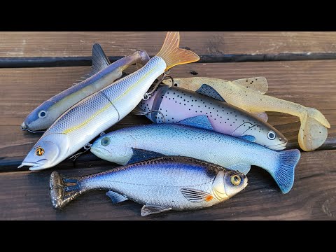 How To Catch Bass In Winter: Swimbait Tips For Cold Water Bass Fishing