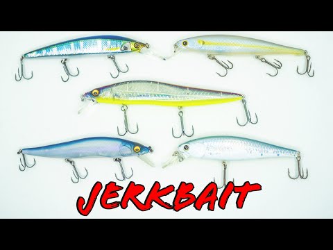 Buyer's Guide: Best Jerkbaits For Bass Fishing