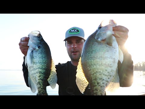 Fishing for GIANT Crappie in Deep Water (Lake Fork ep. 6)
