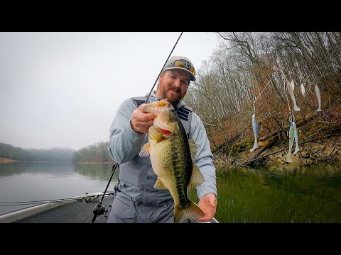 Late Winter Fishing: A-Rigs On Chickamauga