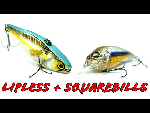 Buyer's Guide: Squarebills and Lipless Crankbaits For Every Season