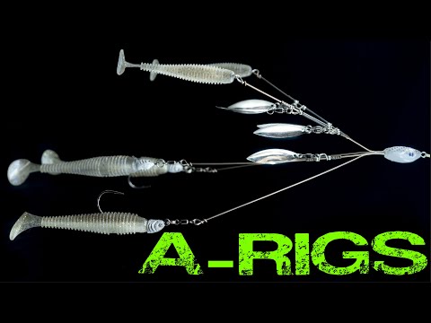 A-Rig Tricks: Everything You Need To Know For Spring And Winter Bass Fishing